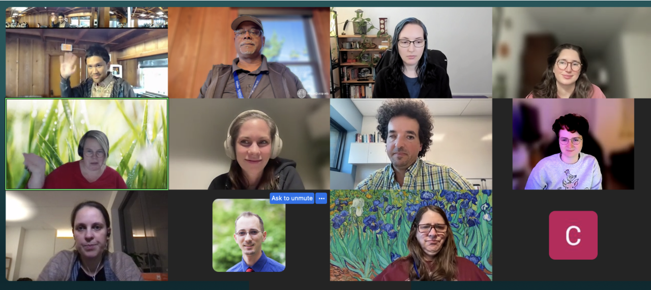 Picture of the online participants